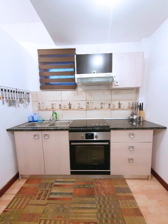 Best Choice Studio Apartment Sinaia Exterior photo
